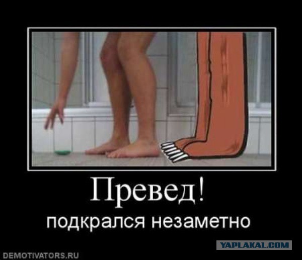 Карикатуры