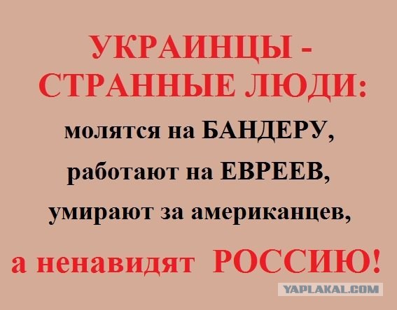 Страна стукачей