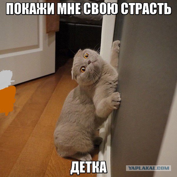 Картинки из инета