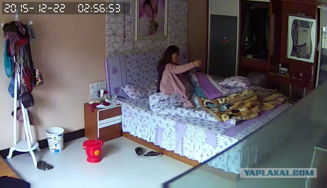 За что я люблю китайцев