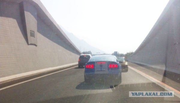 Полиция застрелила водителя ''Мустанга''