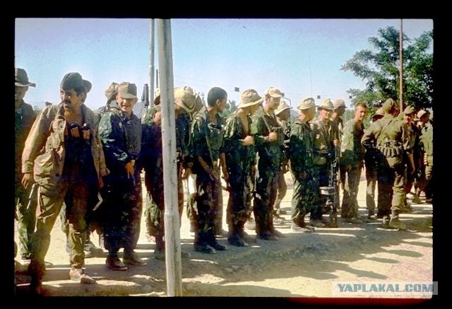 Афганская война