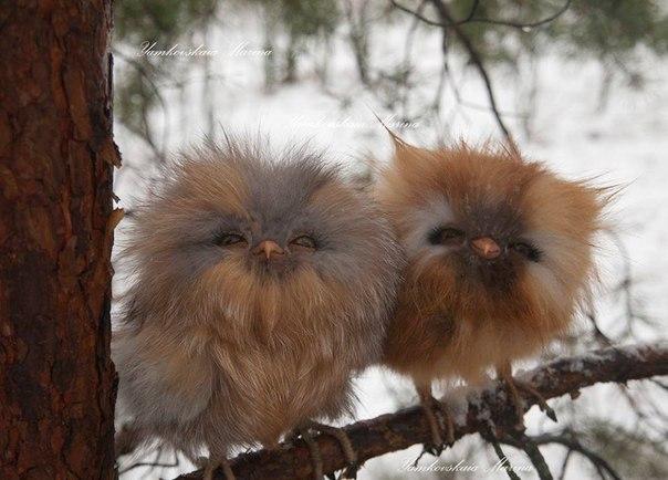 Подборка красивых картинок