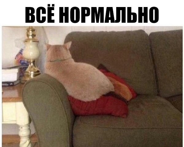 Мохнатые беспредельщики
