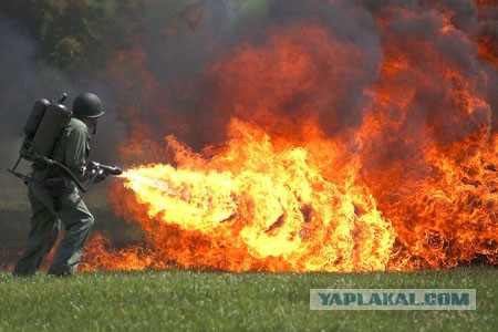 Когда котик зевнул не вовремя...