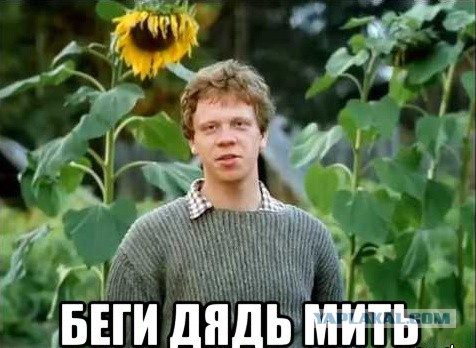 Кот с лампой