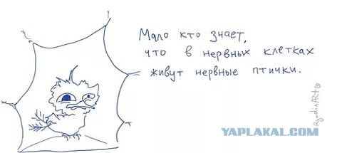 Чем можно вас удивить?