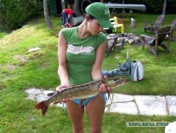 Fishbras или рыба вместо лифчика