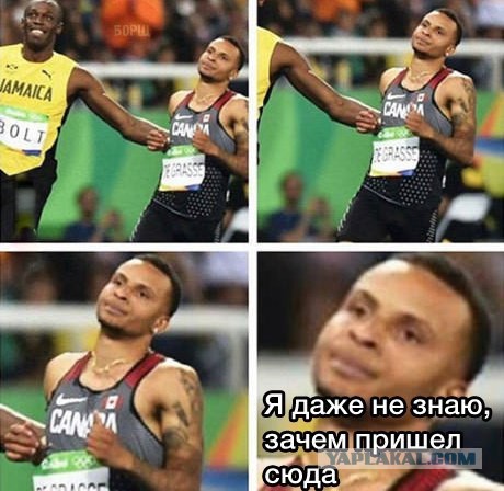 Весёлые картинки