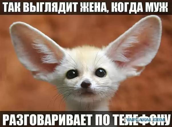 Благими намерениями или если друг оказался вдруг