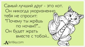 Самый надежный друг
