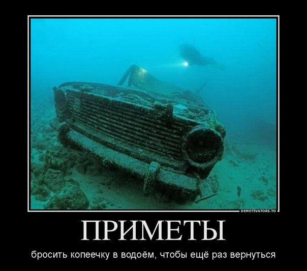 Подборка интересных и веселых картинок