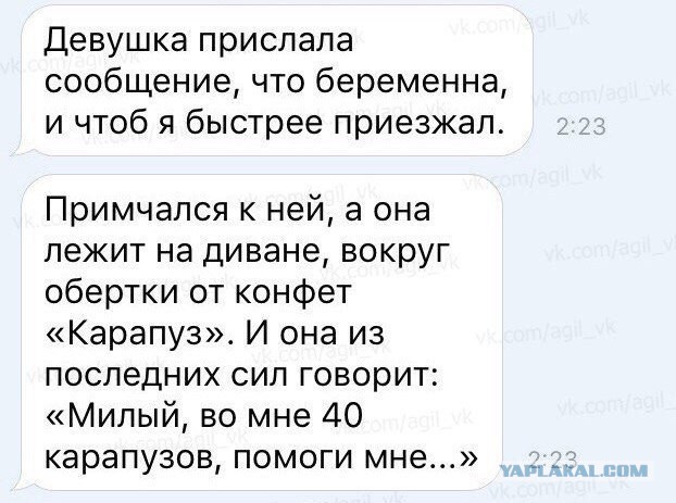 Подборка картинок