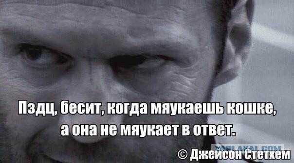 Тупик эволюции