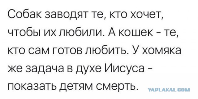 А на что вы готовы ради своих близких?