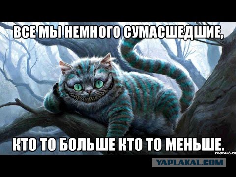 Пишут, в Европе паника