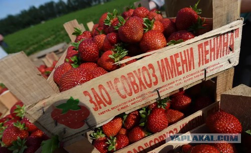 Как дурят нашего брата