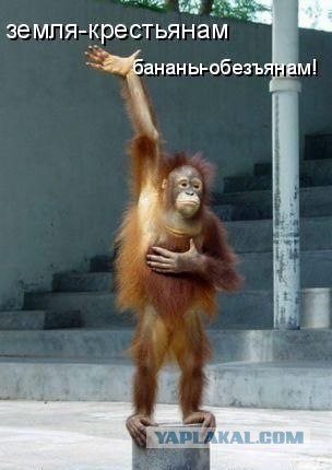 Челове-е-е-е-к!