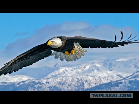 Появилось видео испытаний МС-21-300 в Иркутске