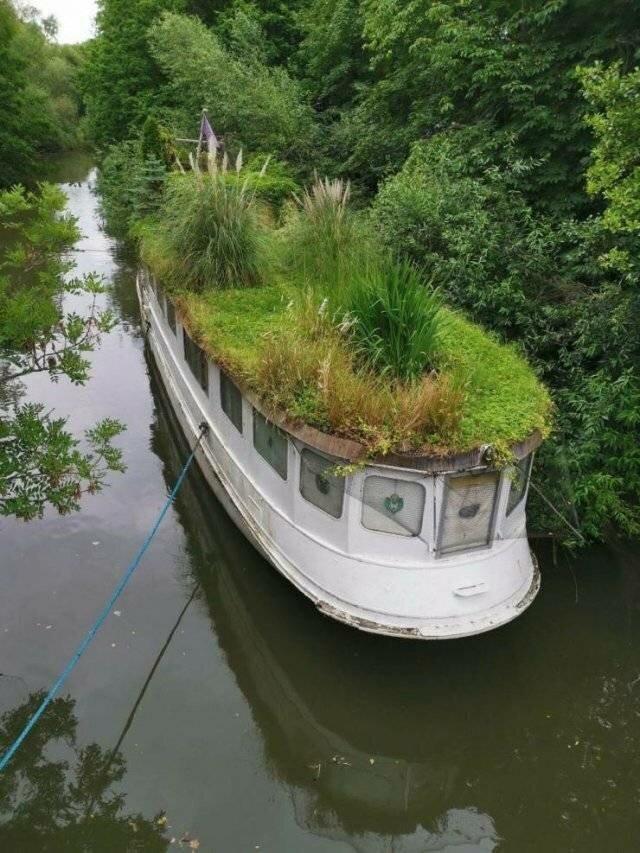 Веселье закончилось