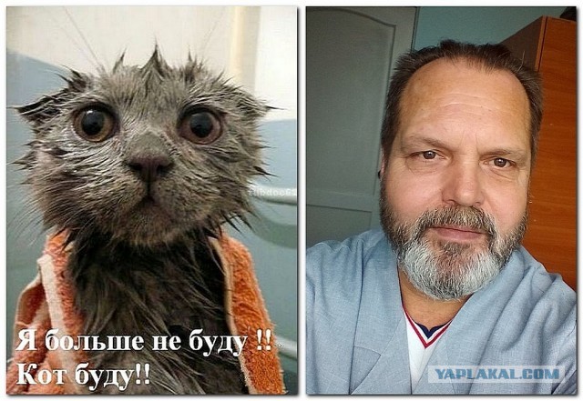 Рок-подвальчик ЯП(а)