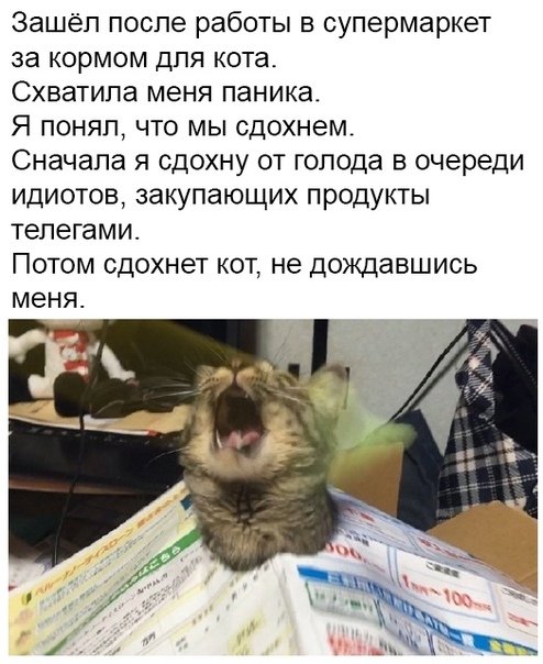 Алкоты, пост!