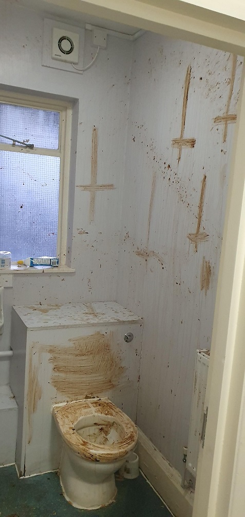 Туалеты мира