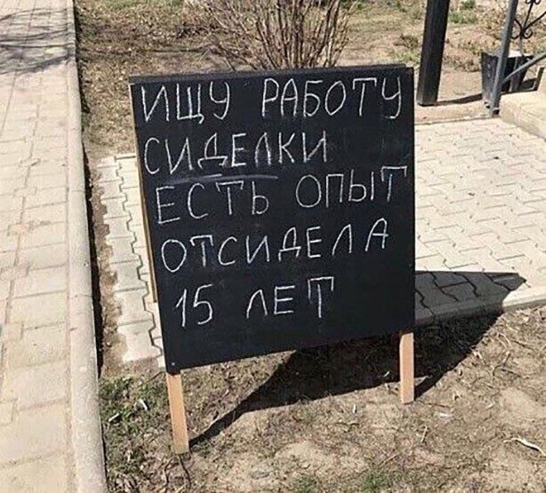 14842362.jpg