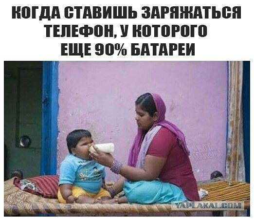 Фотки и картинки: юморные и красивые, забавные и милые 13.11.20