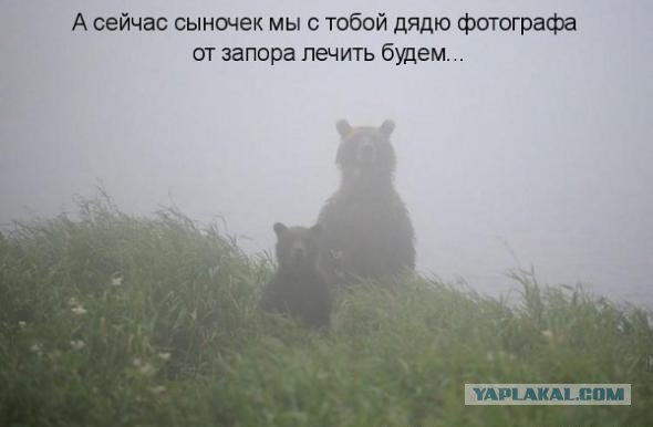 Запах кирпичей