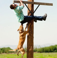 Вот это поворот!