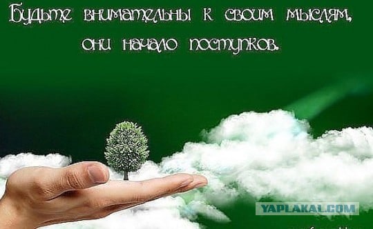 «Бабья яма» - семья, где одни женщины. Почему мужики стремительно «убегают» из таких семей