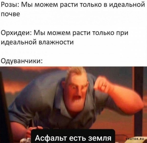 Мемасики от Димасика - Часть 1 (+20 мемов)