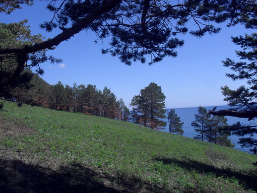 Байкал, 2011