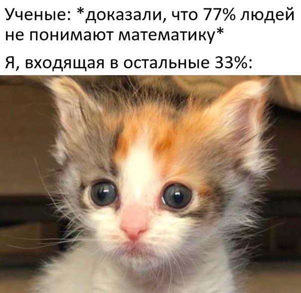 Весёлый полтишок 20.03.22