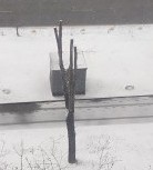 А какая у Вас сегодня весна за окном?!