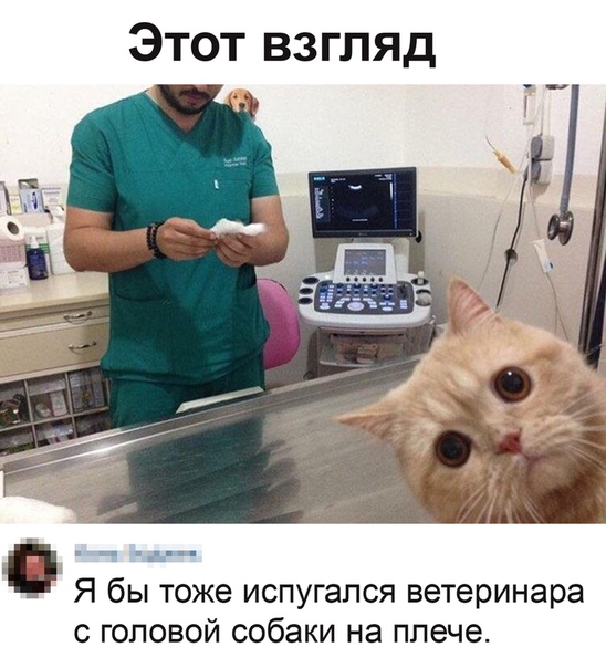 Картинки и мемы для настроения  - 31