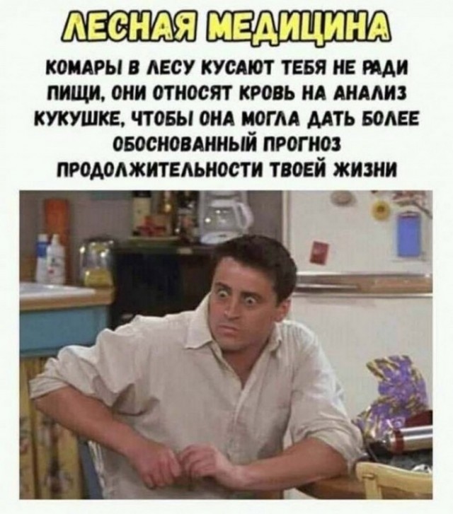 Весёлый полтишок 08.07.22