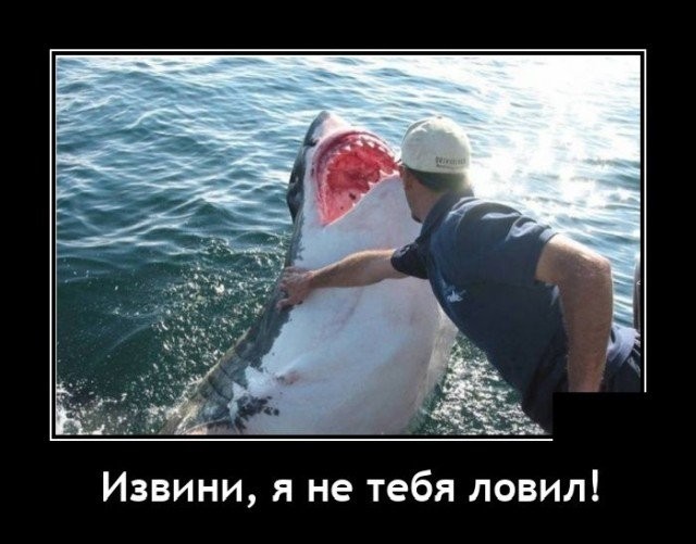 Картинки с надписями 31.07.22