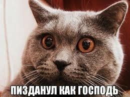 Ужин холостяка