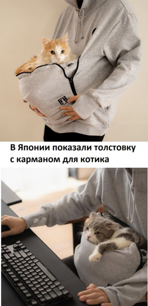 Пятница. И немного слегка пошлых картинок с надписями и без 16+ (16.12)