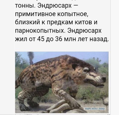 10 животных, которые вымерли — к счастью для человека