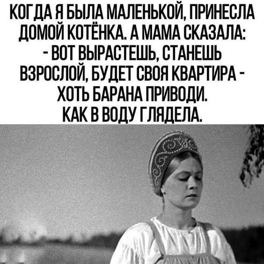 Кстати, где палач?