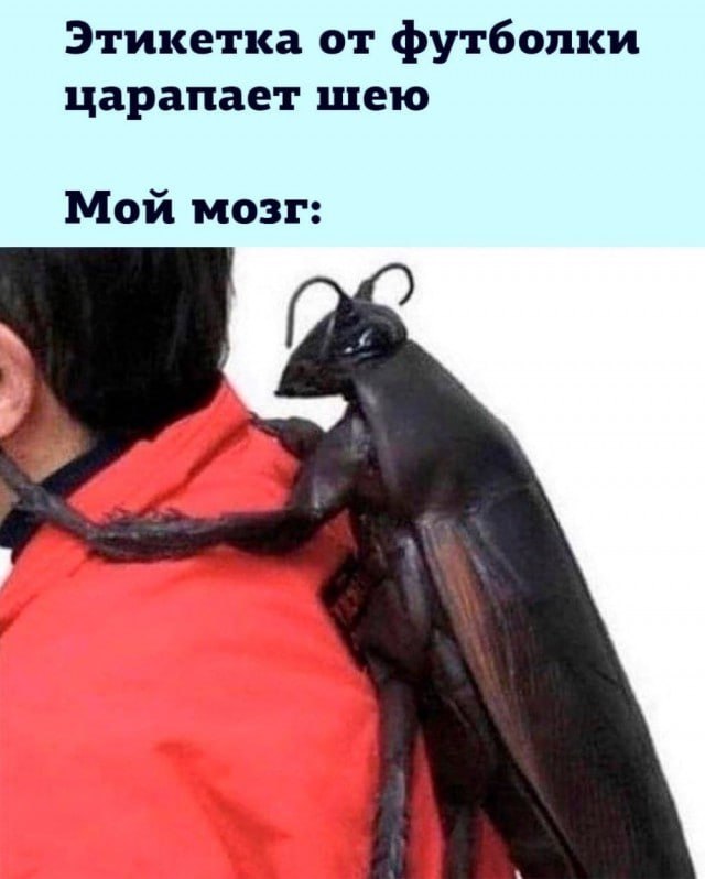Картинки и мемы, это май-чародей всяко разно - 177