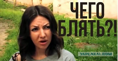 Три часа назад