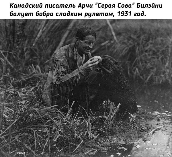 Небольшая подборка исторических фото (04.10.)