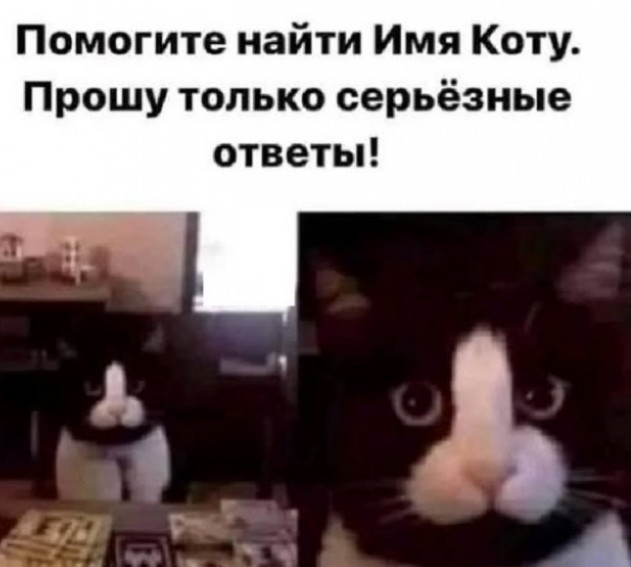 Картинки разные с надписями и без