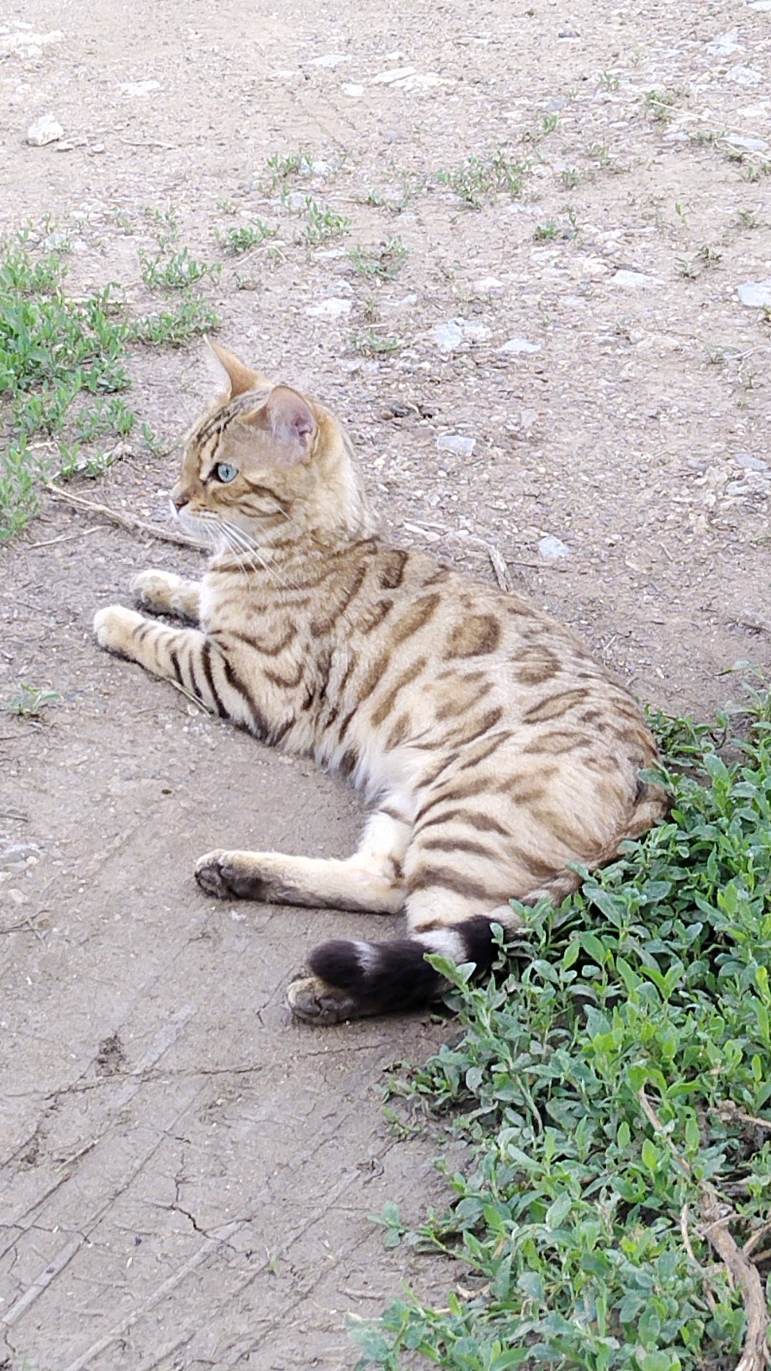 19758362.jpg