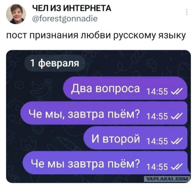 Картинки не для всех