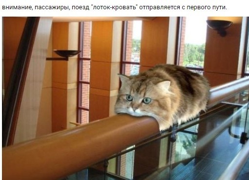 Сегодня четверг